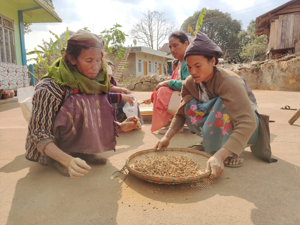 Livelihood Promotion