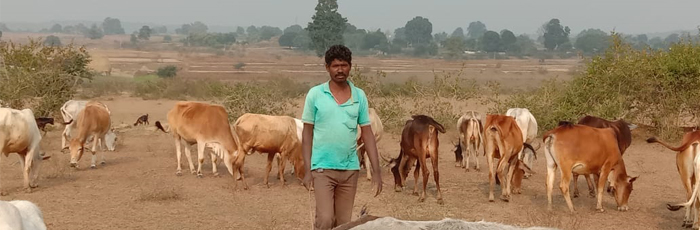 Cattle based Integrated Farming System (IFS) enabled smallholders to secure their Farm Production & Income