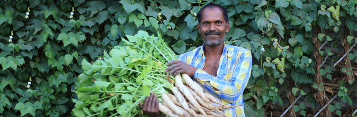 Shaping the Destiny: Binod Patel a Smallholder who “Dares to Dream”