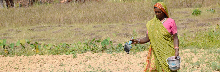Smallholder Adopting “Sustainable Agriculture Practices” to address Agriculture Challenges in SAFBIN