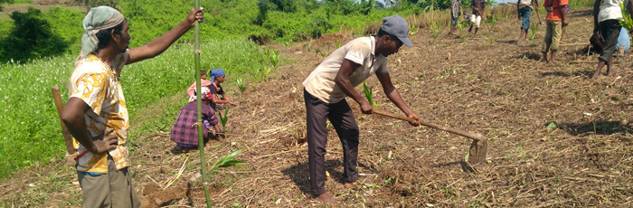 FARM North East II makes Notun Basti self-reliant