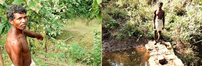 Second Cropping with Gravity Flow Irrigation System