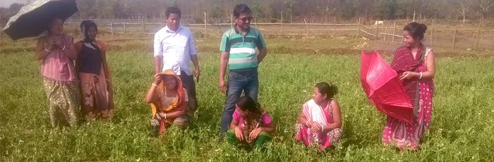 FARM Northeast Programme Unleashes the Potential of Collective Farming