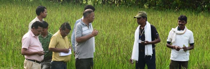 Multi-Stakeholders in SAFBIN: An integral part of On-Farm Adaptive Research Process