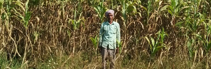 Smallholders cultivating Millets to make their food production climate resilient