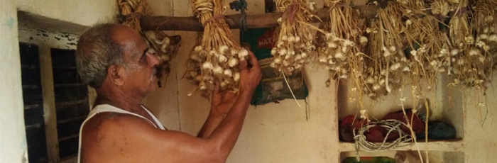 Community managed seed system sowed seed of success in SAFBIN