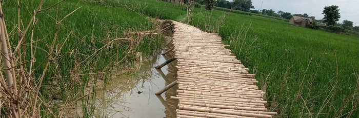 Road to Anganwadi Centre reestablished in Sitamarhi