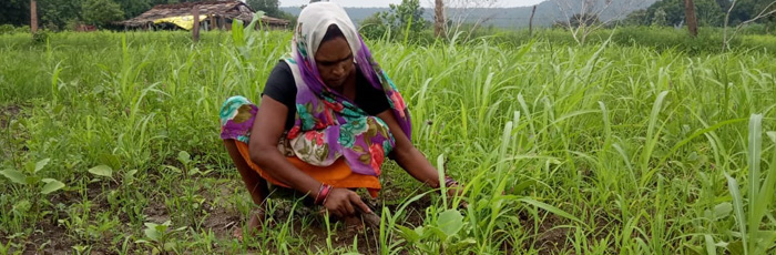 Climate Adaptive Farming Technique helps in doubling farm Production
