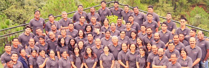 Integrating Strategic Pillars into workforce through team building