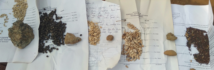 Preserving bio-diversity of food system by conserving indigenous seed