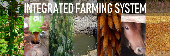Integrated Farming Systems: A potential way to double farm productions & income