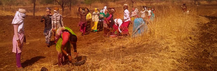 Volunteering to solve water crisis in Maharashtra and Madhya Pradesh