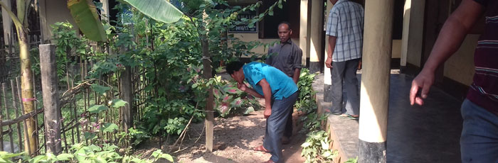 A School which grows 20 different medicinal plants