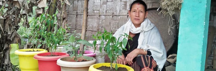 Women taking a lead in generating alternative livelihood and household nutrition