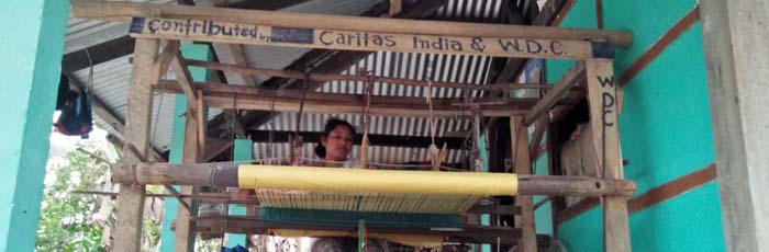 Women across Brahmaputra Basin look to Grow their Earnings and Nutritional Needs through Improved Practices