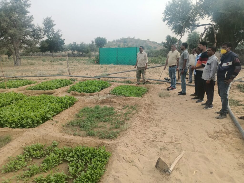 Localized Farming Systems