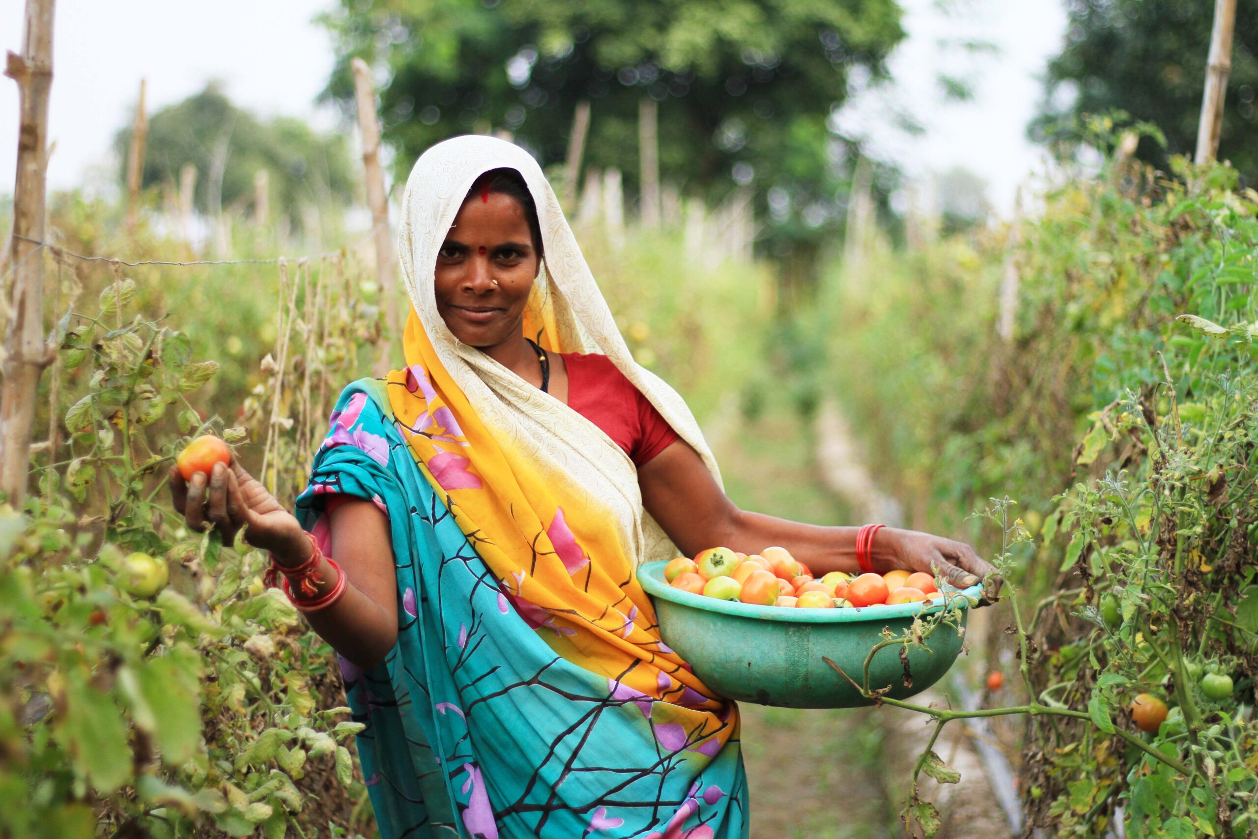 Join us in empowering smallholder farmers like those in Madhya Pradesh to combat climate change