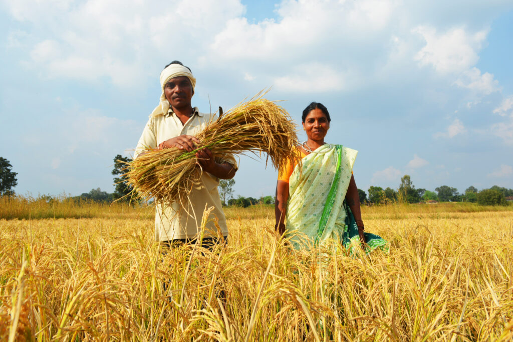 Climate Adaptation in Agriculture