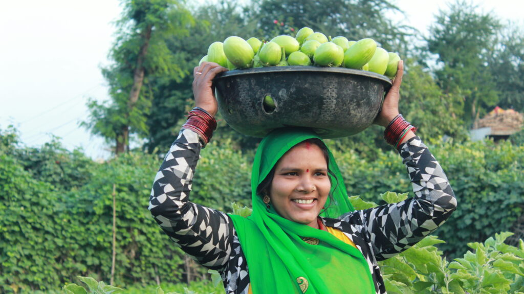 Agro Market Promotion