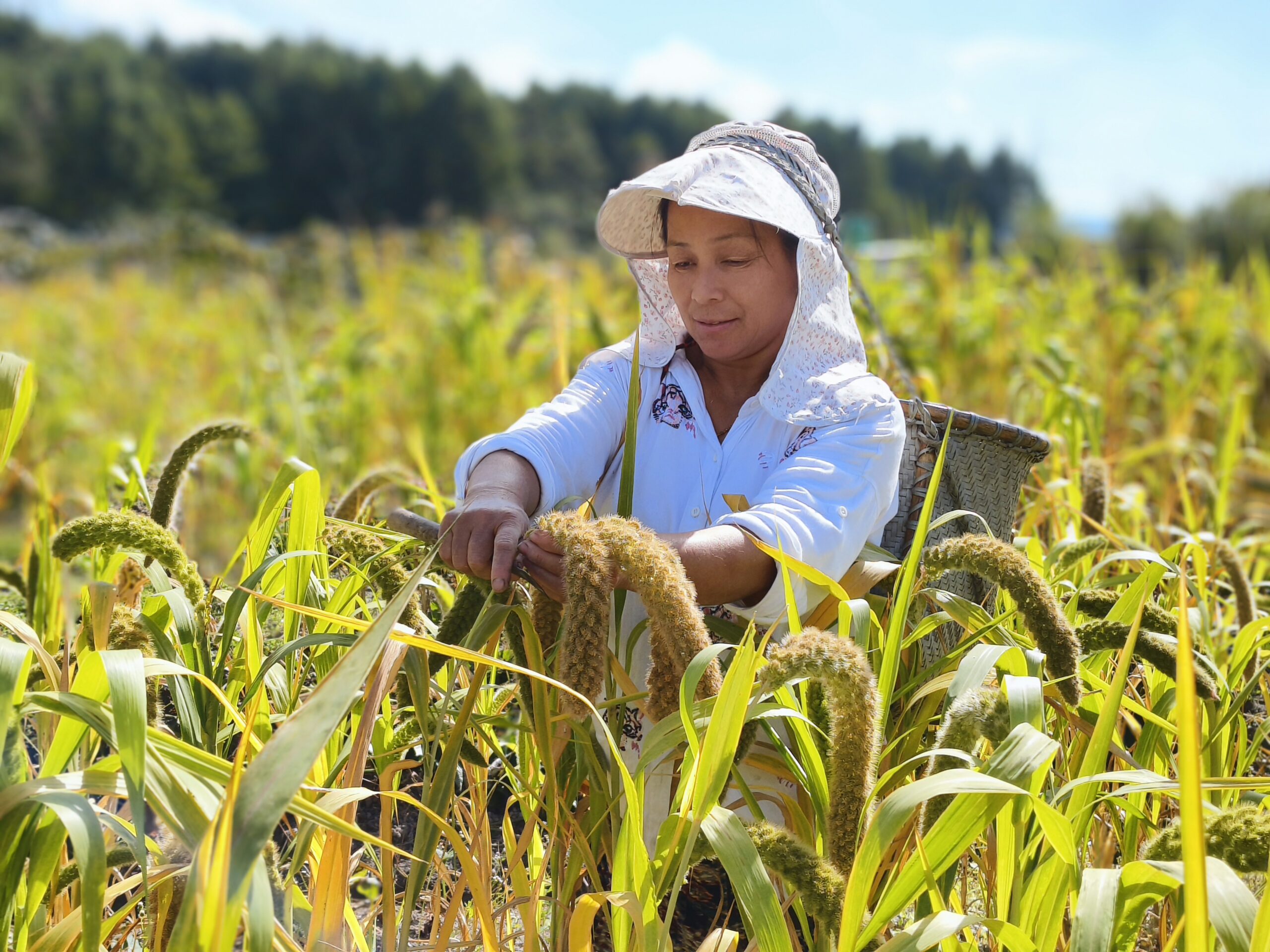 JEEVAN – WOMEN LED EMPOWERING ACTION (WLEA)