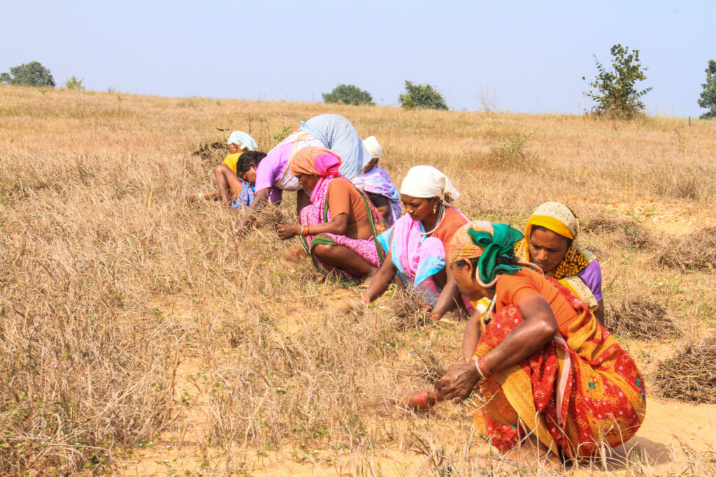 Enhanced resilience to climate change