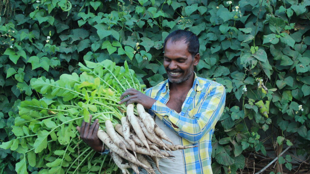 Agro Based Livelihood