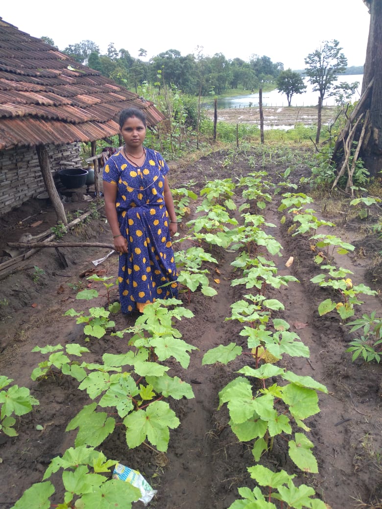 Nutrition and Livelihood