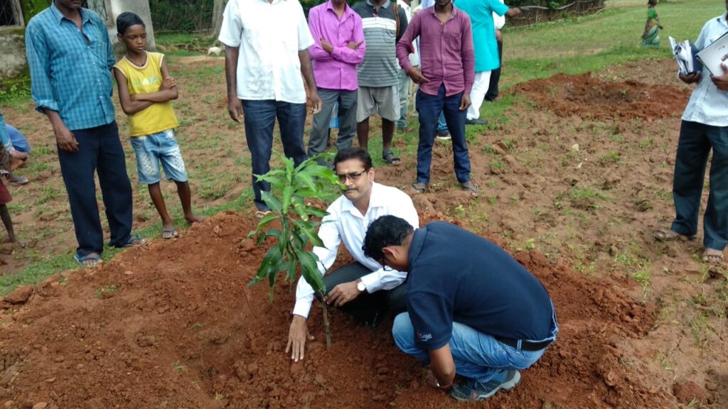 Global Program India