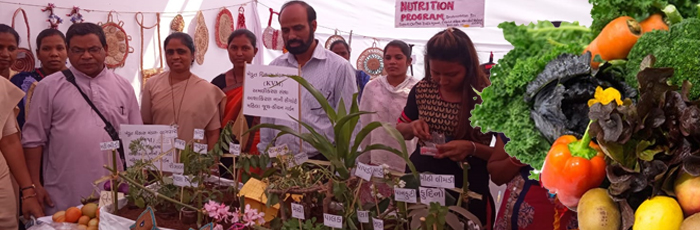 Krishi Vigan Kendra, Dediapada will pay double for the organic vegetables