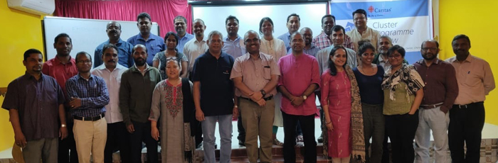 Cluster Programme Indicators Developed to Assess Strategic Plan