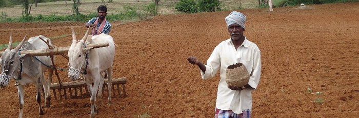 Farmers learn nuances of sustaining vibrant Farmer Producer Company