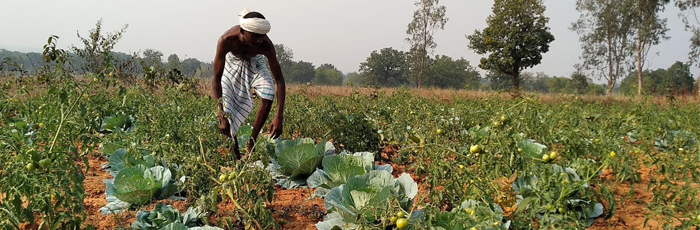 Jharkhand tribal farmers getting growing opportunities from Gram Nirman