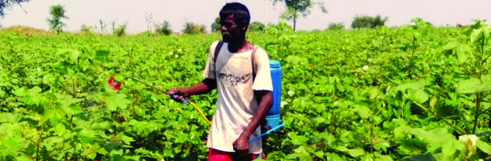 Sabal Farmer become self-reliant practicing natural farming