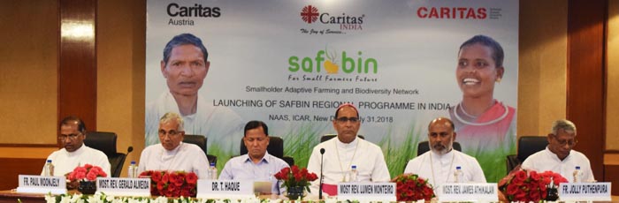 CARITAS INDIA LAUNCHES SAFBIN