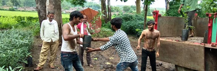 1500 Fruit Saplings Harnessed from MH Government Scheme; Saving Rs. 60,000 under Sabal