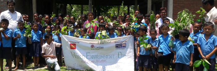 World Environment Day: reflecting on a greener environment