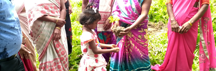 Instead of buying expensive gifts, gift a plant to a child