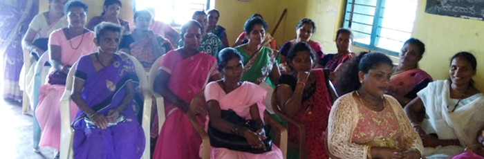 Stakeholders ensure effective implementation of health & sanitation of Shirwad Panchayat in Karwar