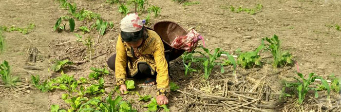 FARM Northeast: Recognising the invisible farmers
