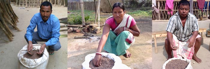 How diversification has changed the lives of three farmers