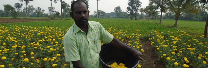 Udhayam leads to transition from daily wage earner to employer