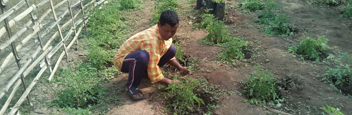 Traditional Healing: an extra source of income