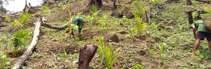 Tribal people have a crucial role in environment conservation