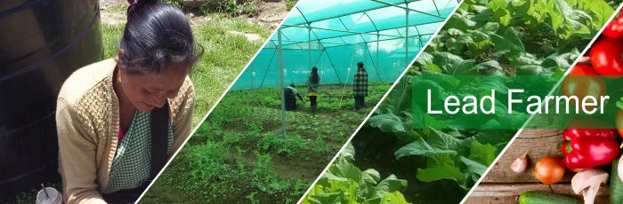 Meet a farmer who started an organic movement