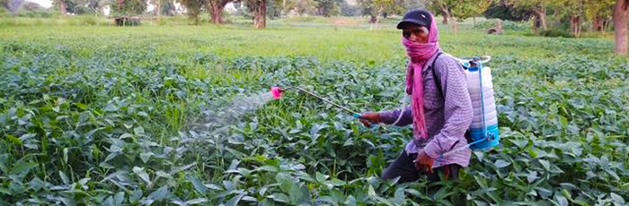 Inspiration to adopt Organic Farming