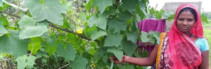 Nutrition Security through Back Yard Gardening