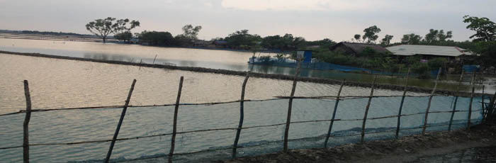 An effort to save world largest coastal mangrove forest – Sundarbans
