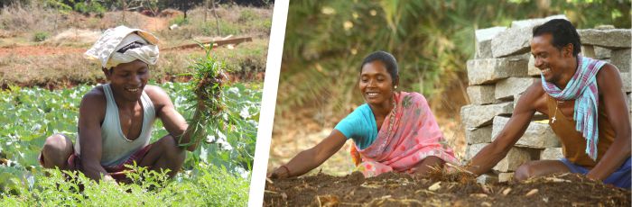 Jharkhand Farmers will adopt agribusiness approach for increased food security