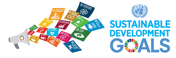 Caritas India benchmarks equity and inclusion in recommending national indicators to SDGs to the MoSPI