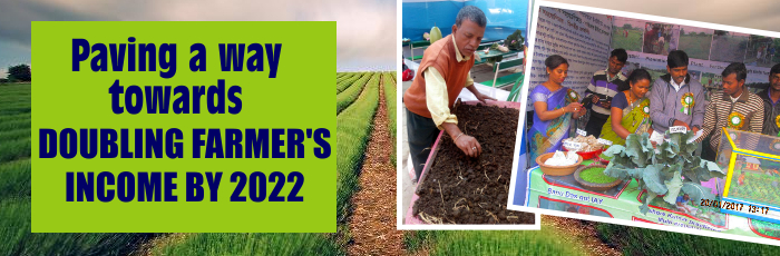 Paving a way towards ‘doubling farmer’s income by 2022’